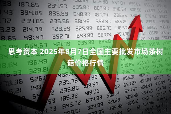 思考资本 2025年8月7日全国主要批发市场茶树菇价格行情